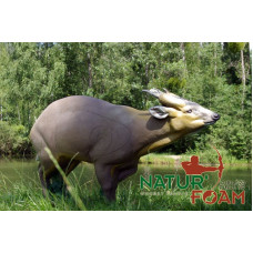 Natur Foam MUNTJAC